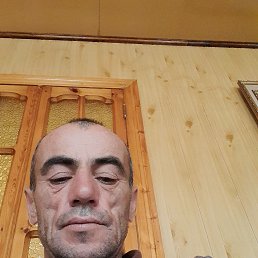 , 29, 