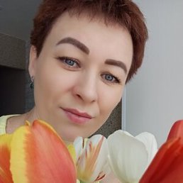 ��������, 40 ���, �����