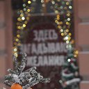 ���� ������ ����, ������, 49 ��� - ��������� 10 ������ 2026 � ������ ������ ��������