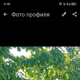 , 60, 