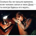 ���� ��������, ���� - ��������� 17 ������� 2024 � ������ ���� ����������