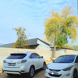 Parviz, �����-���������, 23 ����