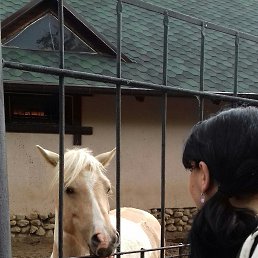 ���� ������, ������, 40 ��� - ��������� 14 ����� 2026