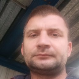 ������, ����, 40 ���