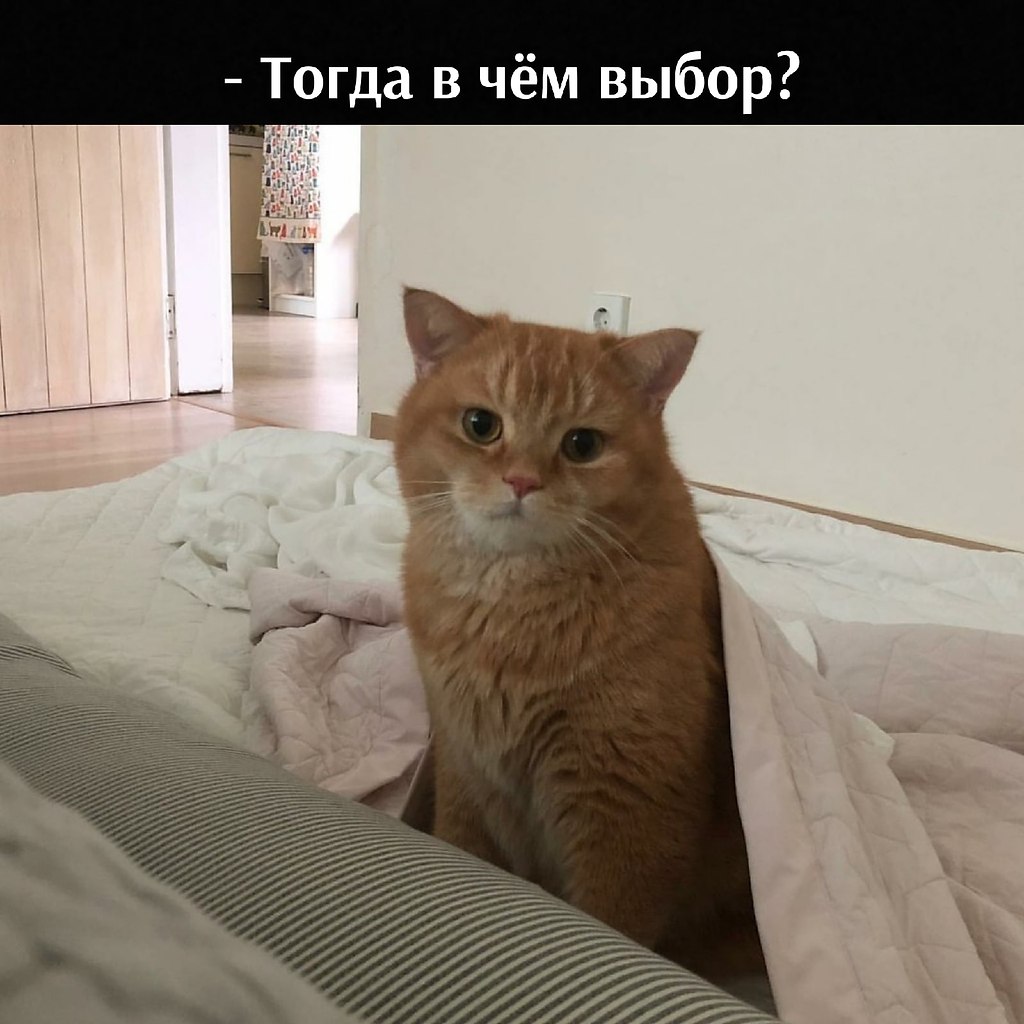 ��� ���� � ����� �� �� - 17 ����� 2026 � 17:00 - 4