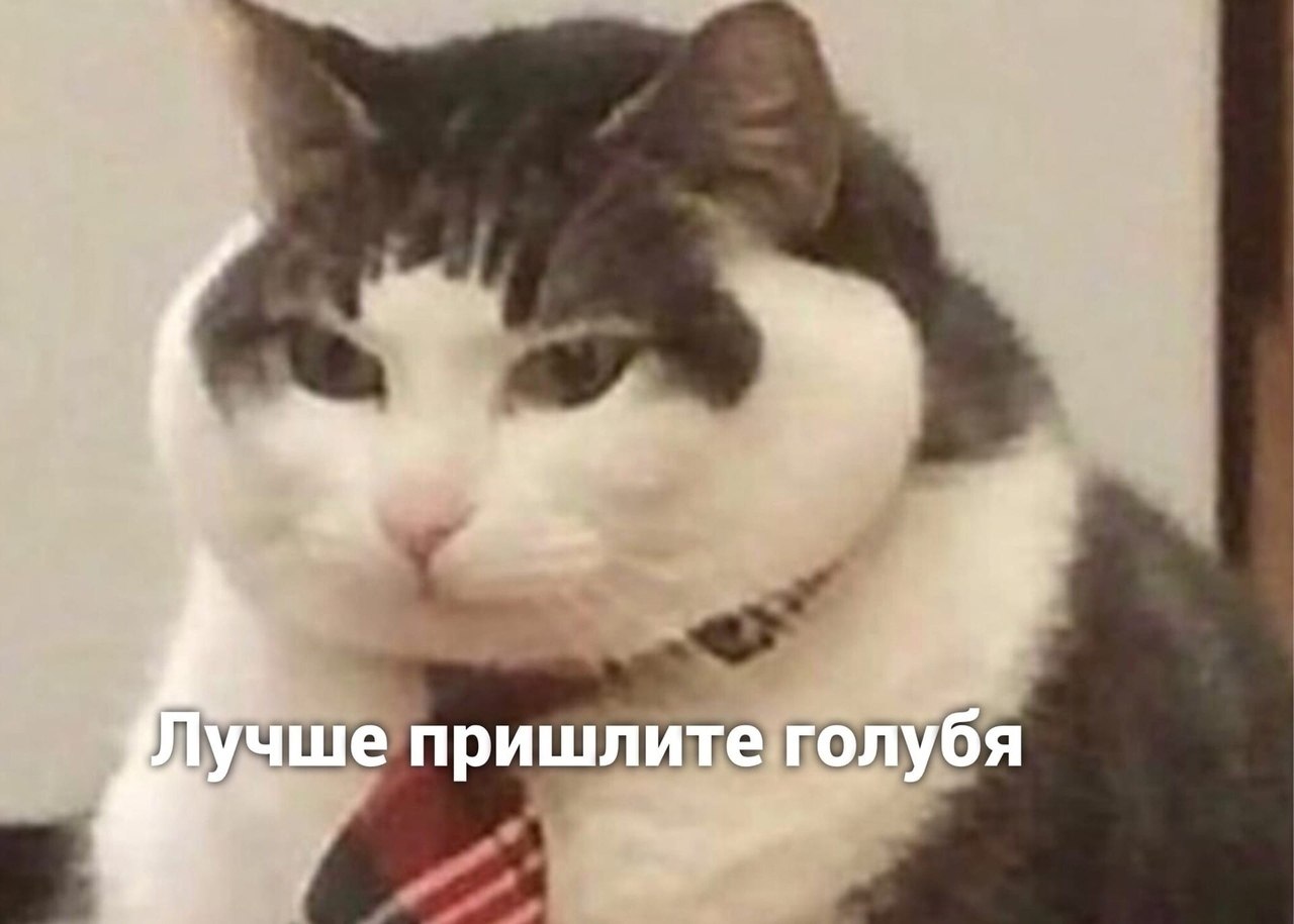 ������ �� ���������) - 3