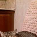 ���� ����, ��������, 50 ��� - ��������� 11 ������ 2024 � ������ ���� ����������