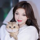 ���� ����, ����, 41 ��� - ��������� 3 ���� 2026 � ������ ���� ����������