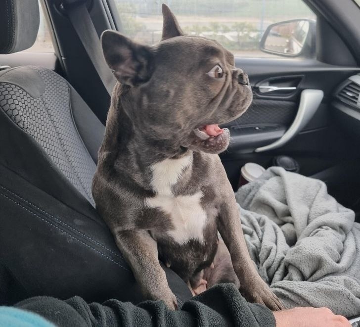 �� �������� ����������� ���� �� 16 ��/���