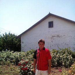 , 52, ,  