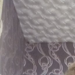 ����, ������������, 18 ���