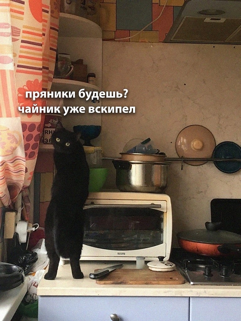 ��� �������� �������� - 2 ������� 2026 � 16:30