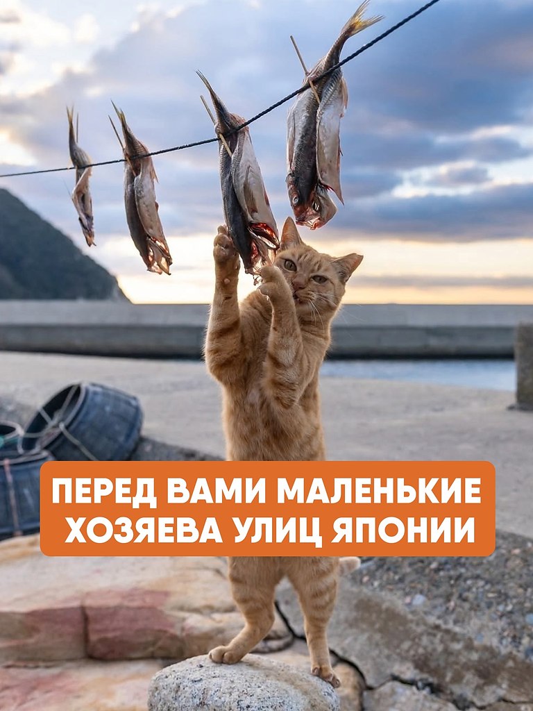 �������� ������� ���� � ��� �� ������ ����� ��������, � ��������� ��������� ���������� ���������� � ...