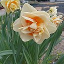 ���� Nastasya, ����, 34 ���� - ��������� 21 ������ 2026 � ������ ������ ��������