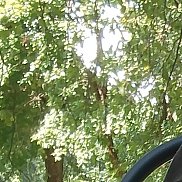 ������, 56 ���, ������