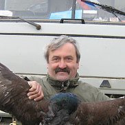 ����, 62 ����, �������