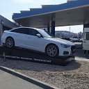 ���� ��������, �����, 42 ���� - ��������� 1 ������� 2024 � ������ ���� ����������