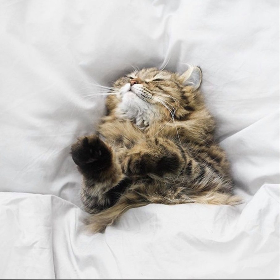 — Я веду прямой репортаж из кровати. Здесь реально круто! - 2