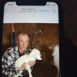 ���� �������, �����������, 53 ���� - ��������� 17 ������� 2026