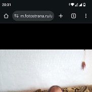 �������, 59 ���, ���������