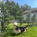 ���� ����--, ������ - ��������� 14 ������ 2025 � ������ ������ ��������