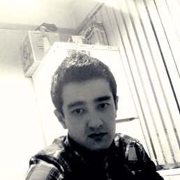  Amir, , 33  -  8  2025