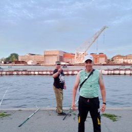 ������� ��������, �����-���������, 47 ���