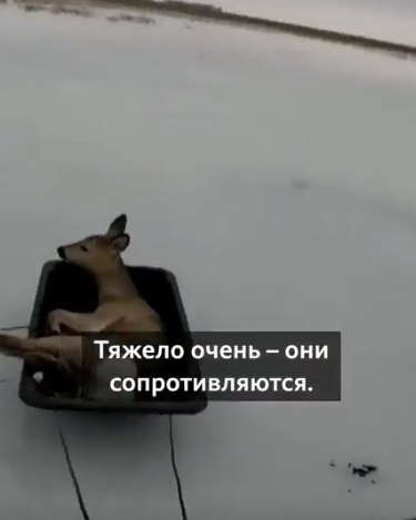 ������� ���� �� �������, � ������ ����� �������� ������ ������ ����� - �� ���� ����� ����� � ���� �� ... - 2