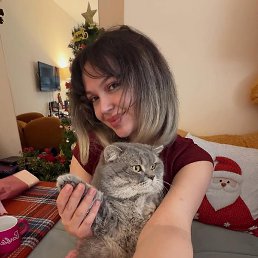 ���������, ����, 33 ����