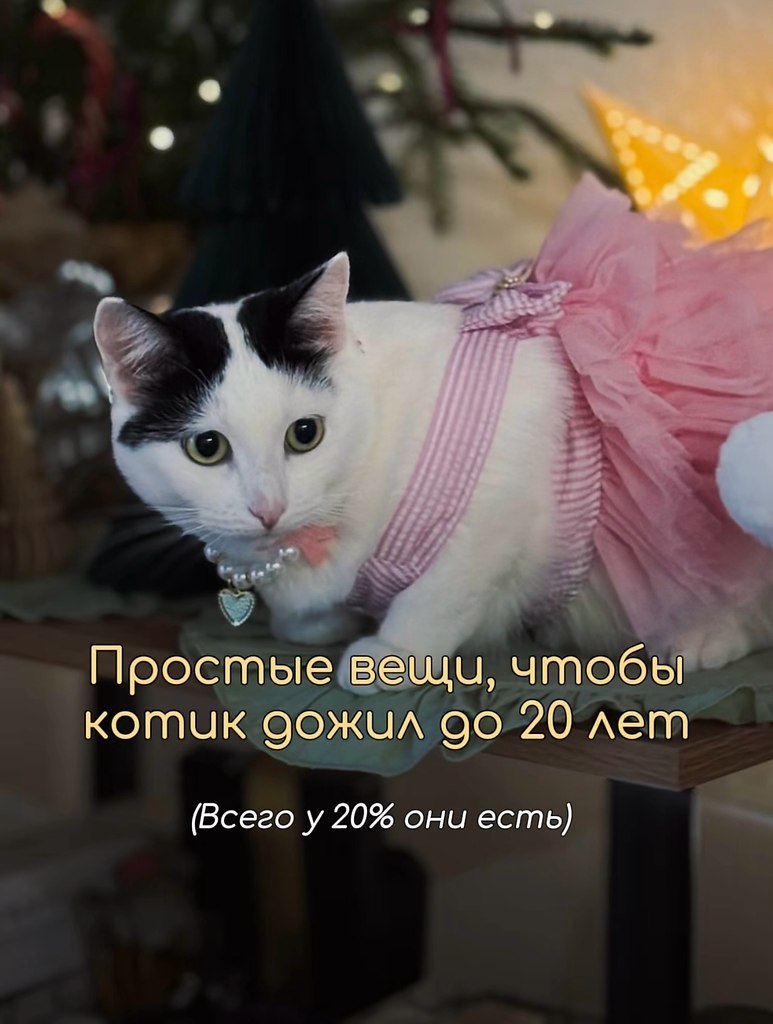 ��� �������� ��� ����-�����������, ��� ������� ��������� ����: ����, ����, ������, ������ � ��� � ...