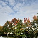 ���� Egor, ������, 44 ���� - ��������� 1 ������� 2024 � ������ ���� ����������