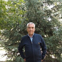 ��������, �������, 82 ����