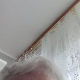 ������, ����, 65 ���