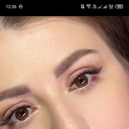 ����, ���, 33 ����