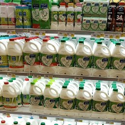 Joy, �����������, 25 ���