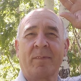 ���� ., �����������, 65 ���