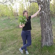 , 28 , 