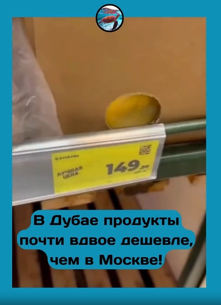 ���ae �po����� ���oe �e�e��e, �e� � oc��e?? ��o �oo��e �a�?? �e����� cpa����a�� o���a�o��� �op���� ... - 2