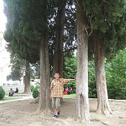giorgi, 24 ����, �������
