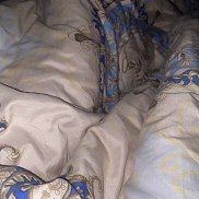������, 22 ����, ������