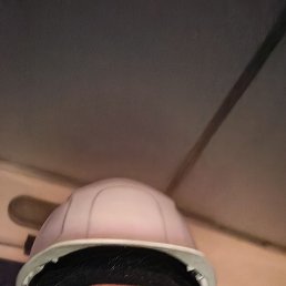 ���� �����, ���, 44 ���� - ��������� 29 ����� 2026