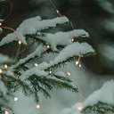 ���� ��nya, ������ - ��������� 5 ������ 2026 � ������ ���� ����������