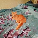 ���� ��������, ��������, 56 ��� - ��������� 8 ������� 2025 � ������ ����� ��������