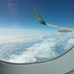 O��, �������, 38 ���