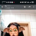 ���� �����, ������, 52 ���� - ��������� 20 ������ 2025 � ������ ���� ����������