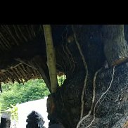 ����, 35 ���, ������