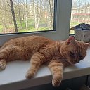 ���� V***, ���������, 57 ��� - ��������� 25 ������ 2026 � ������ �2026�