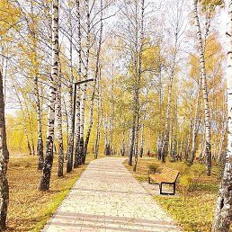 ������, ������������