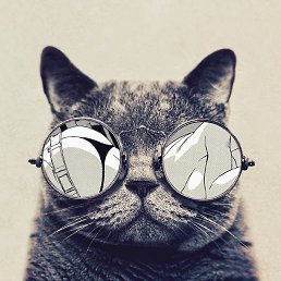 �������, ����������, 30 ���