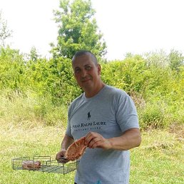 ���� ������, ���������, 47 ��� - ��������� 4 ����� 2026